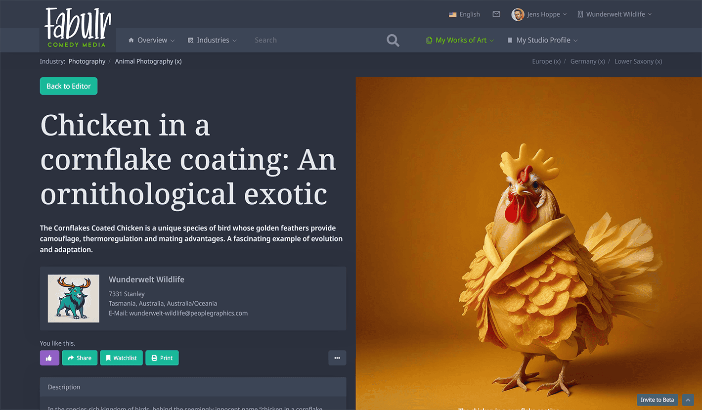 Comprehensive detail page with all data provided via the media project form - image